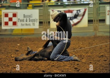 Cowboy durante un vitello roping concorrenza, Fort Worth, Texas Foto Stock