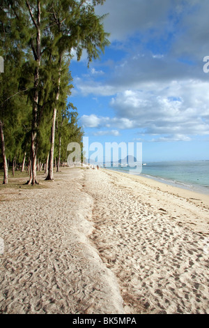 Bellissima sabbiosa spiaggia tropicale di Flic en Flac sull'isola di Mauritius con blu cielo nuvoloso sfondo. Foto Stock