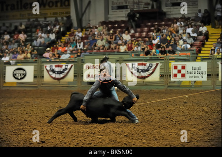 Cowboy durante un vitello roping concorrenza, Fort Worth, Texas Foto Stock