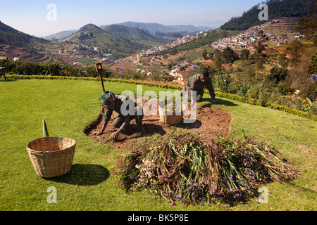 India, nello Stato del Tamil Nadu, Udhagamandalam (Ooty), giardinieri lavorando nel giardino di di Sherlock vecchio bungalow in stile coloniale Foto Stock