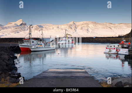 Porto di pesca a Hofn, vicino Bakkagerdi in Borgarfjordur Eystri fiordo, Mount Dyrfjoll, Est fiordi, Islanda Foto Stock