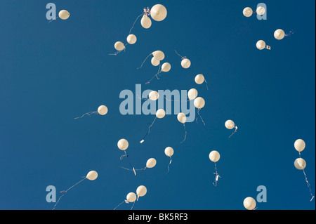 Bianco palloncini per matrimoni Foto Stock