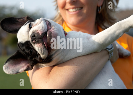 Donna che mantiene bulldog francese Foto Stock