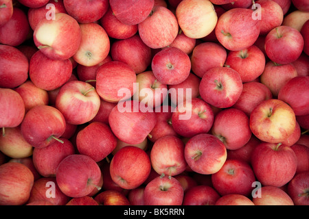 Mele biologiche Foto Stock