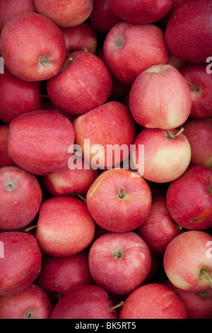 Mele biologiche Foto Stock