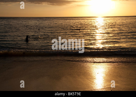 Sea Wave sull'isola tropicale di Mauritius al tramonto sulla spiaggia di Flic en Flac sulla costa occidentale dell'isola. Foto Stock