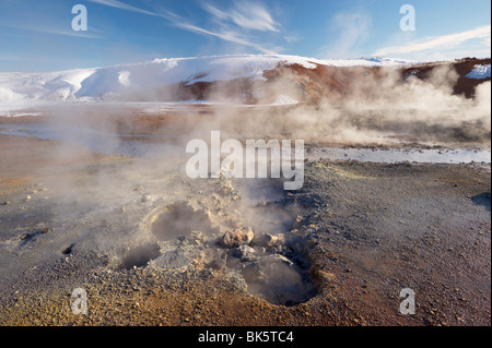 Attività geotermica di mudpots, sorgenti calde e fumarole, a Krisuvik, penisola di Reykjanes, a sud-ovest di Islanda Islanda Foto Stock