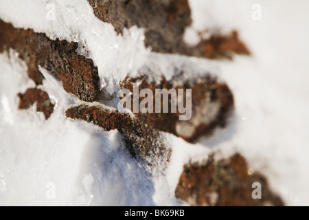 La neve soffiata contro una pietra a secco a parete, il Parco Nazionale di Peak District, UK, Inghilterra Foto Stock