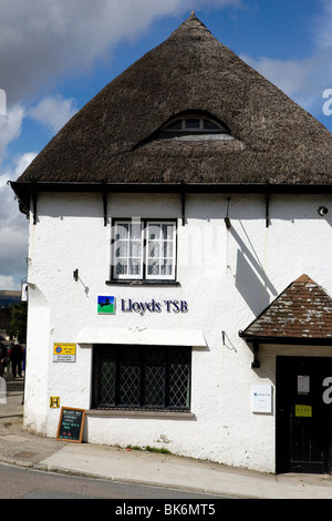 Un piccolo villaggio presso la Lloyds Bank nel Devon. Foto Stock