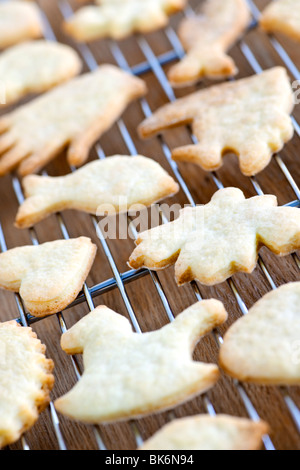 Raffreddamento per rack con freschi fatti in casa biscotti frollini Foto Stock