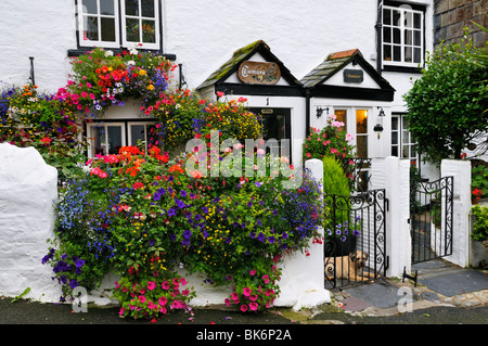 Un bel bianco-lavato cottage adornati con fiori estivi, Cornwall, Regno Unito Foto Stock