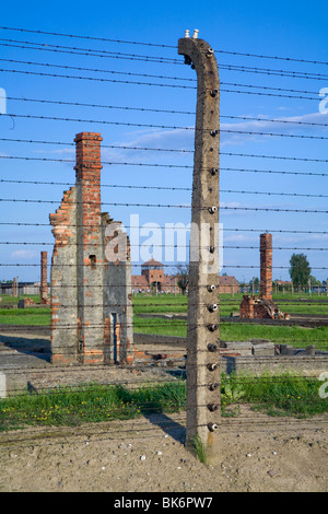 Campo di Concentramento di Auschwitz-Birkenau Polonia Foto Stock