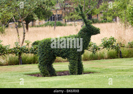 Topiaria da albero - boccola tagliata a forma di renne Foto Stock