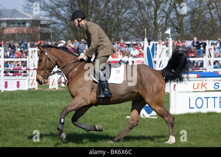 Coppa del mondo di pentathlon serie show jumping event Medway Park Gllingham Kent Foto Stock