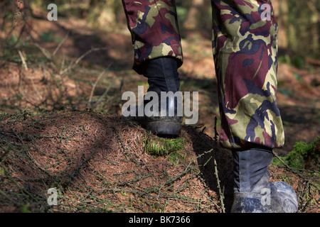 Uomo che indossa il camuffamento combattere i pantaloni e stivali a camminare in avanti fino alla cima di una collina in una foresta nel Regno Unito Foto Stock