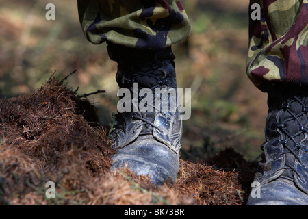 Uomo che indossa il camuffamento combattere i pantaloni e stivali in piedi in una foresta nel Regno Unito Foto Stock