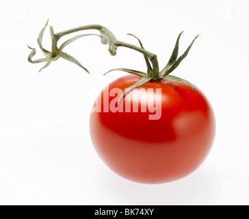 Rosso ciliegia con pomodoro verde in alto e lo stelo su sfondo bianco Foto Stock