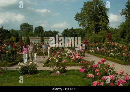 Parigi, Francia, persone che visitano Urban Park, European Flower Garden, Jardin de Bagatelle Rose, Bois de Boulogne, Orangerie Roses Foto Stock