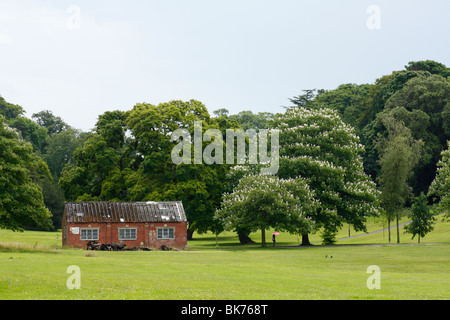 Parco Singleton, Swansea, West Glamorgan, South Wales, Regno Unito Foto Stock