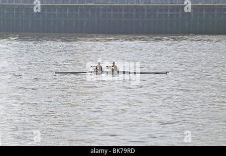 Canottaggio, penisola di Greenwich, London, Regno Unito Foto Stock