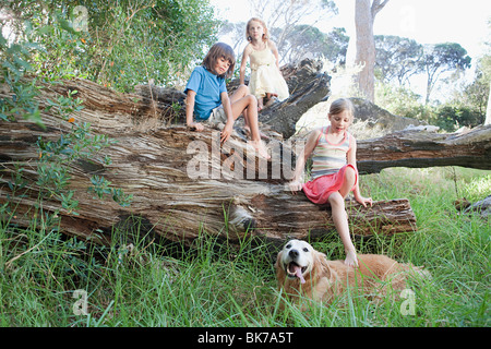 Bambini su un tronco di albero con il golden retriever Foto Stock