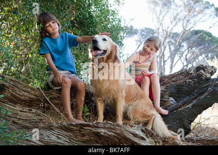 I bambini sul tronco di albero con il golden retriever Foto Stock