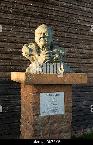 Busto di Sir Peter Scott al Caerlaverock Wildlfowl e wetlands centre Foto Stock