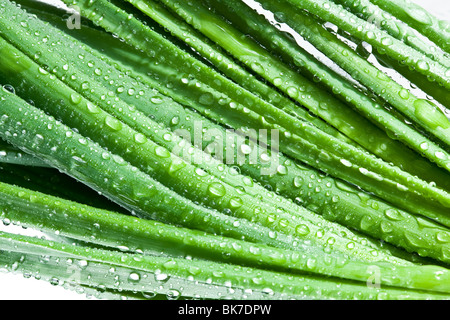 Foglie di onion closeup con gocce d'acqua Foto Stock
