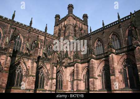 Pietra arenaria rossa di Chester Cathedral, Cheshire, Regno Unito Foto Stock