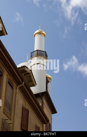 Moschea con minareti; Neuchatel, Svizzera. Charles Lupica Foto Stock