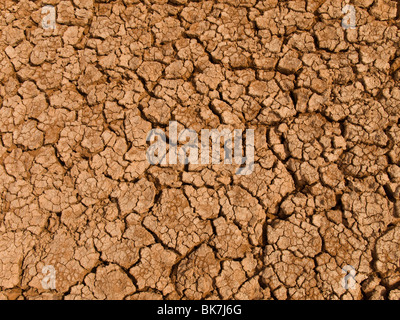 Una terra cotta al suolo dopo un lungo periodo di siccità. Foto Stock