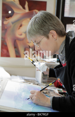 Alexandria Virginia, Old Town, Torpedo Factory Art Center, artista in residenza, Rachel Collins, donna donna donne, acquerello, lavoro, pittura, VA100 Foto Stock