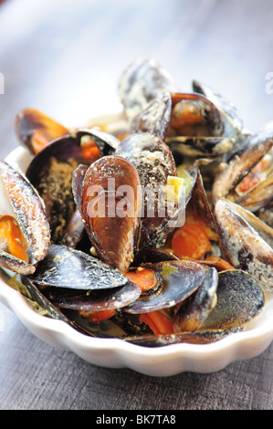 Francia Cote d Azur Provence Cassis cozze al guscio Ristorante sala da pranzo di pesce fresco di mare Mediterraneo Foto Stock