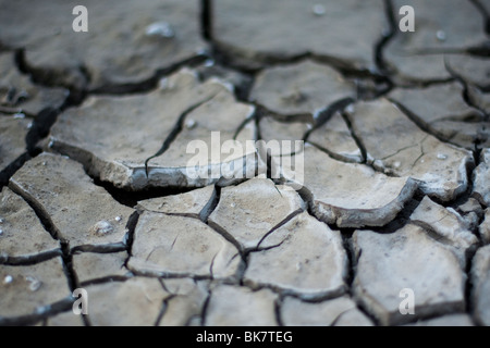 Close up dettaglio della terra secca. Foto Stock