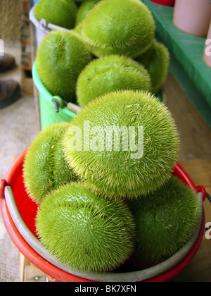 Mango squash chayote capelli pera vegetale merliton hairy Foto Stock