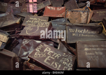 Valigie ebraico con i nomi nel Museo di Auschwitz Foto Stock