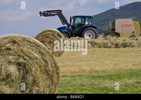 Trattore blu pressatura di fieno dopo spandimento del fieno, su una farm di Gallese con un cielo blu e nuvole sopra e due balle in primo piano Foto Stock