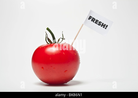 Rosso Pomodoro, bandiera dicendo 'fresco!' Foto Stock