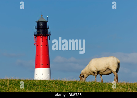 Pellworm faro e una pecora su una diga, Nord Isole Frisone, Nord distretto Friesland, Schleswig-Holstein, Germania, Europa Foto Stock