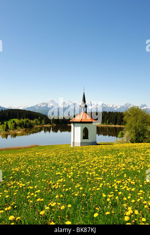 Chiesetta al Lago vicino Hegratsrieder Buching, Est Allgaeu, Allgaeu, Baviera, Germania, Europa Foto Stock