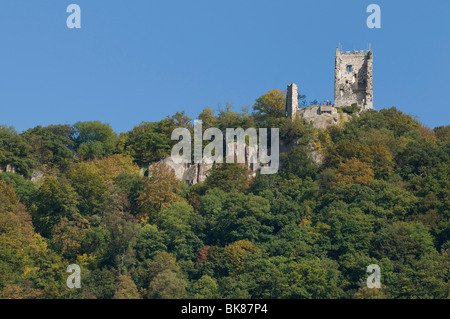 Appena rinnovato le rovine di Drachenfels, Dragon's Rock, con la protezione di rock chiaramente visualizzato, Drachenfels trachite, Koen Foto Stock