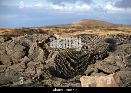 Deserto di lava vicino Waikoloa sulla Big Island, Hawaii, STATI UNITI D'AMERICA Foto Stock