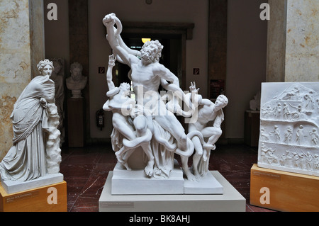 Laocoonte gruppo, Museo fuer Abguesse Klassischer Bildwerke museo di calchi di statue classiche, Meiserstr. 10, Monaco di Baviera, Foto Stock