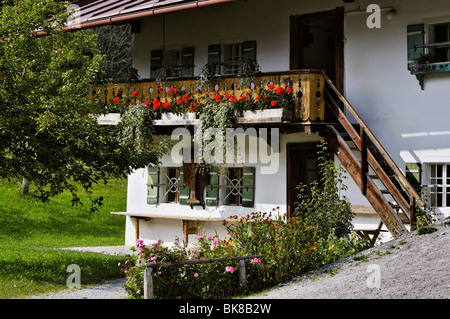 Gerani (Pelargonium) su un balcone, weathered legno, Glentleiten farming museum, Baviera, Germania, Europa Foto Stock