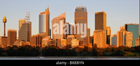 Panorama di Sydney skyline di sunrise, la Torre della TV, il quartiere centrale degli affari di Sydney, Nuovo Galles del Sud, Australia Foto Stock