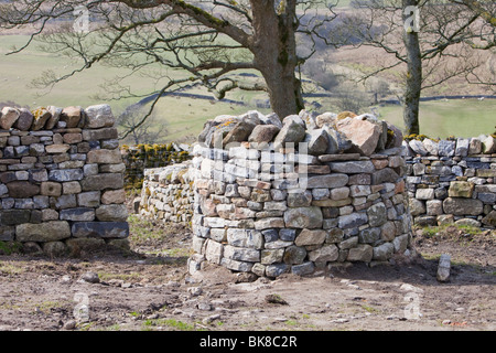 Un ben al di fuori di un casale abbandonato e fienile stock suddetti serbatoio in Lancashire, Regno Unito. Foto Stock