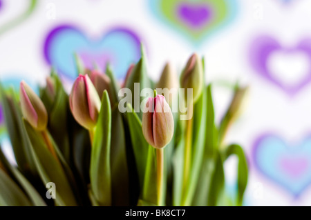 Un vaso di tulipani viola davanti a uno sfondo colorato decorato con un modello cuore Foto Stock