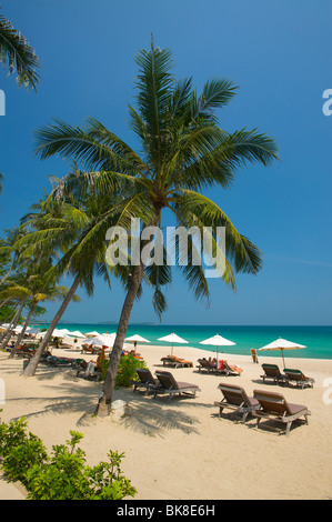 Palm Beach, la spiaggia di Chaweng, Ko Samui, Tailandia, Asia Foto Stock