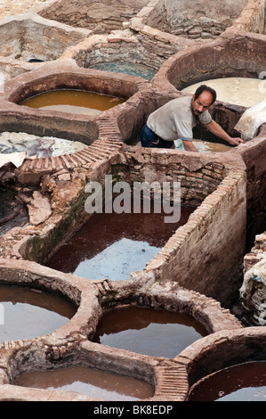 Lavoratore nel colorante iva a Chouara Conceria Fes Marocco Foto Stock