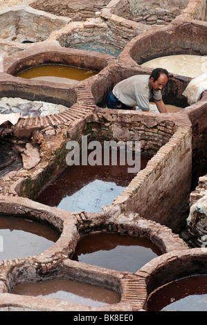 Lavoratore a Chouara Conceria Fes Marocco Foto Stock